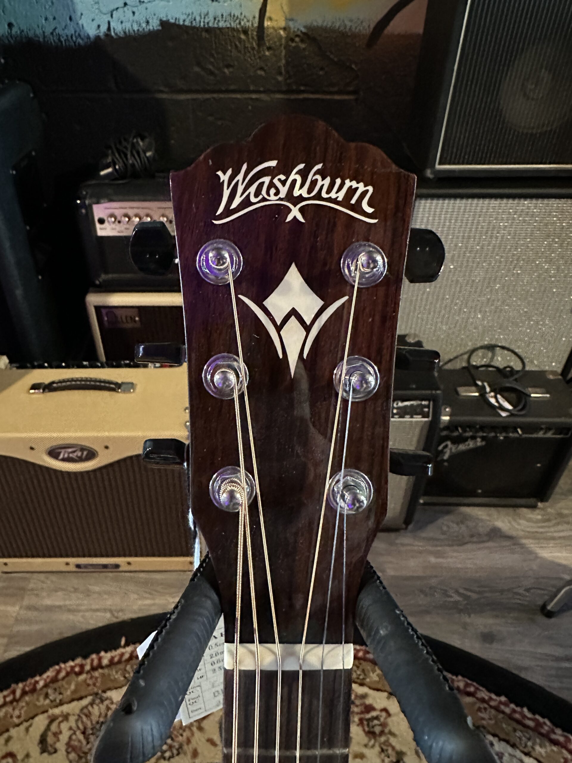 Washburn Guitars