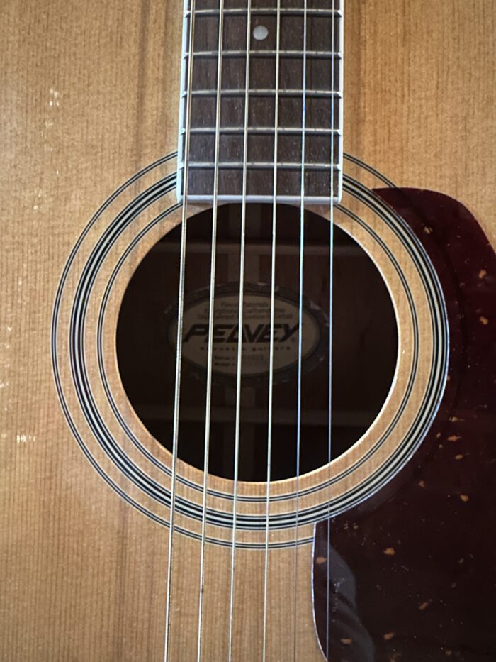 Peavey Indianola Acoustic Guitar