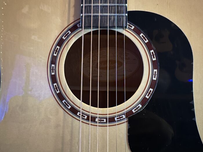 Washburn D5 Acoustic Guitar